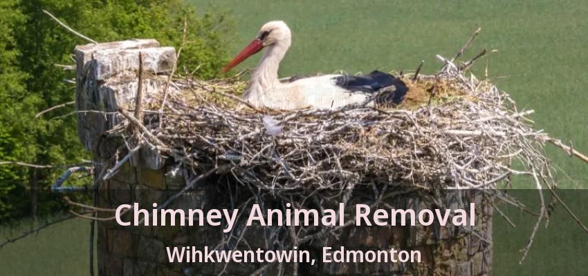 Chimney Animal Removal Wihkwentowin, Edmonton - AB Chimney Animal Removal Wihkwentowin, Edmonton - AB