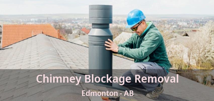 Chimney Blockage Removal Edmonton - AB