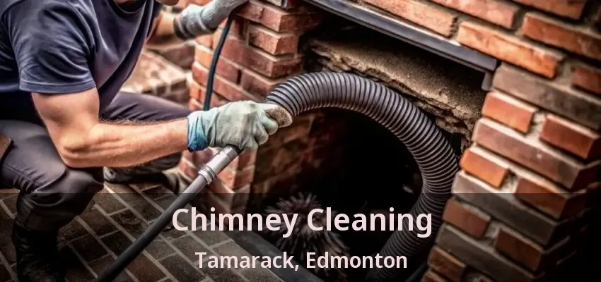 Chimney Cleaning Tamarack, Edmonton - AB