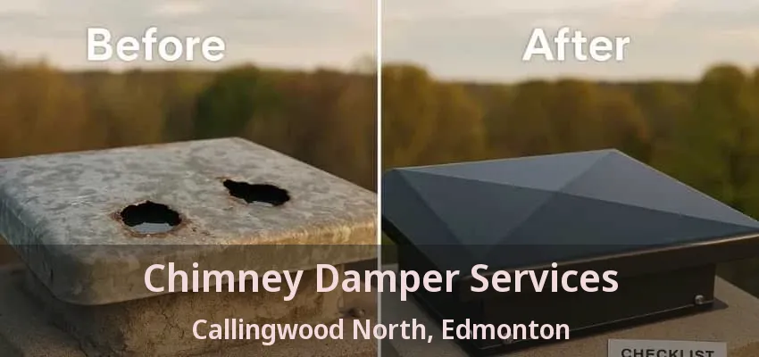 Chimney Damper Services Callingwood North, Edmonton - AB
