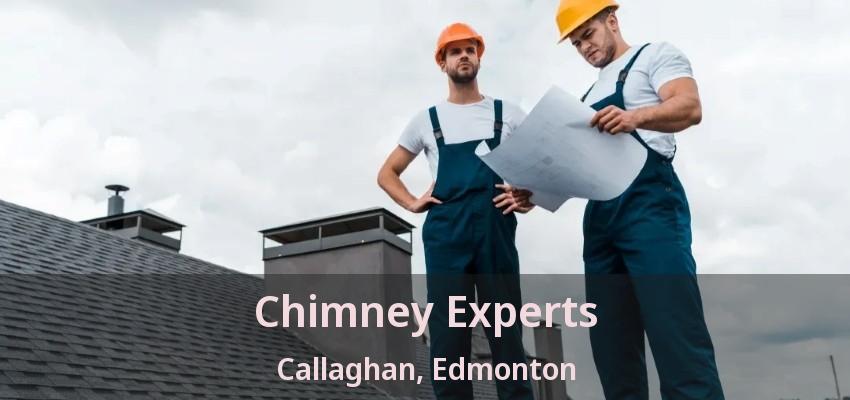 Chimney Experts Callaghan, Edmonton - AB
