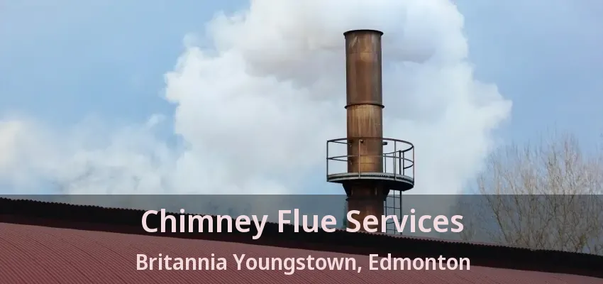 Chimney Flue Services Britannia Youngstown, Edmonton - AB