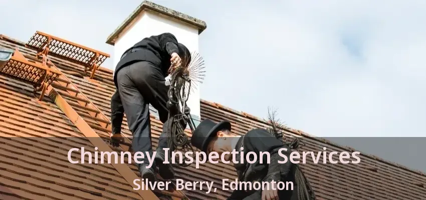 Chimney Inspection Services Silver Berry, Edmonton - AB