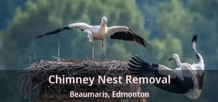 Chimney Nest Removal Beaumaris, Edmonton - AB