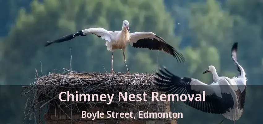 Chimney Nest Removal Boyle Street, Edmonton - AB