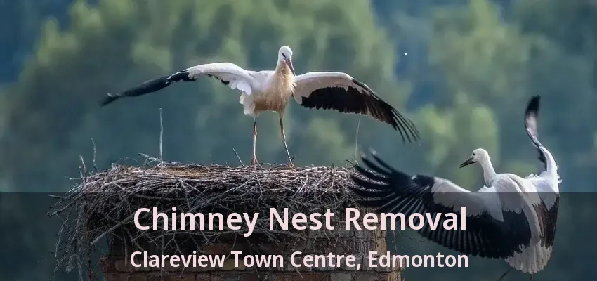 Chimney Nest Removal Clareview Town Centre, Edmonton - AB Chimney Nest Removal Clareview Town Centre, Edmonton - AB