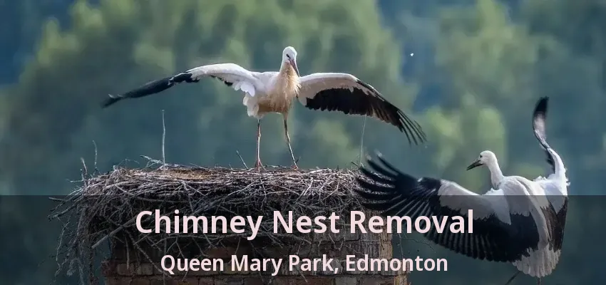 Chimney Nest Removal Queen Mary Park, Edmonton - AB Chimney Nest Removal Queen Mary Park, Edmonton - AB
