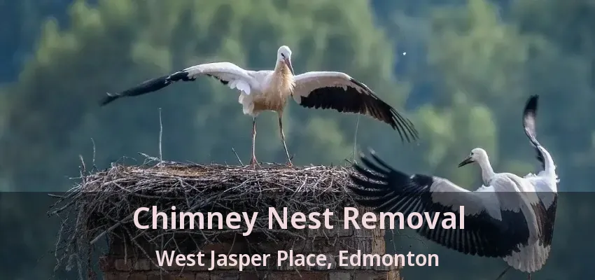 Chimney Nest Removal West Jasper Place, Edmonton - AB Chimney Nest Removal West Jasper Place, Edmonton - AB