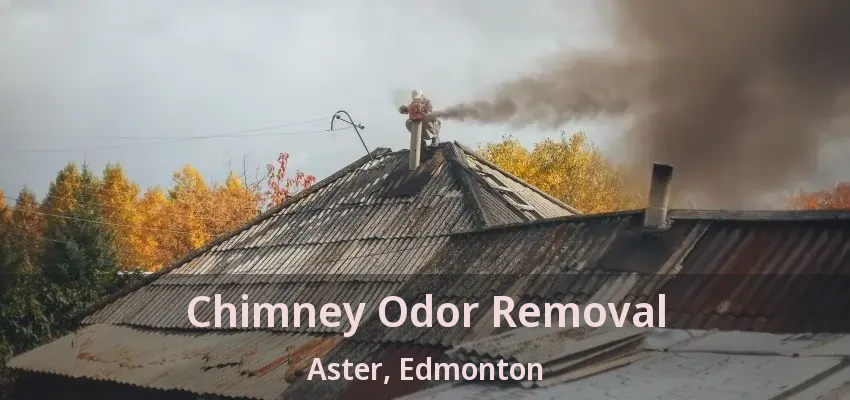 Chimney Odor Removal Aster, Edmonton - AB