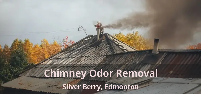 Chimney Odor Removal Silver Berry, Edmonton - AB Chimney Odor Removal Silver Berry, Edmonton - AB
