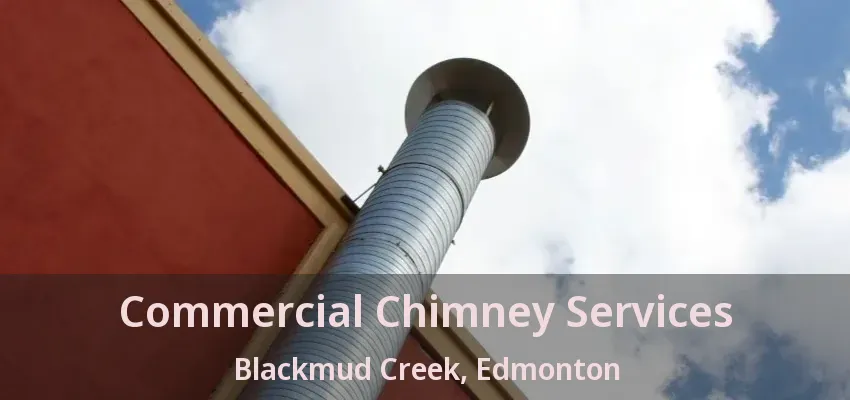 Commercial Chimney Services Blackmud Creek, Edmonton - AB