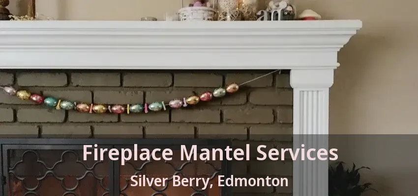 Fireplace Mantel Services Silver Berry, Edmonton - AB