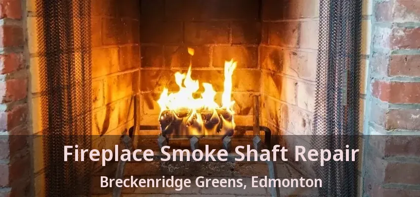 Fireplace Smoke Shaft Repair Breckenridge Greens, Edmonton - AB