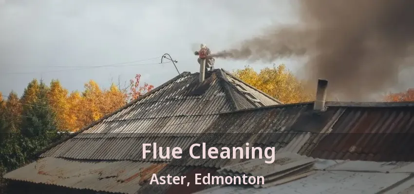 Flue Cleaning Aster, Edmonton - AB