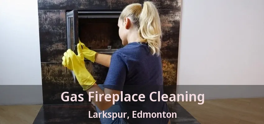 Gas Fireplace Cleaning Larkspur, Edmonton - AB Gas Fireplace Cleaning Larkspur, Edmonton - AB