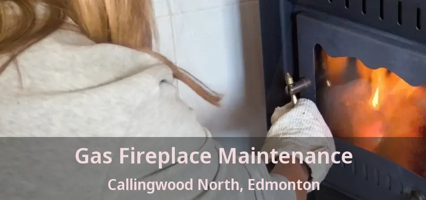 Gas Fireplace Maintenance Callingwood North, Edmonton - AB
