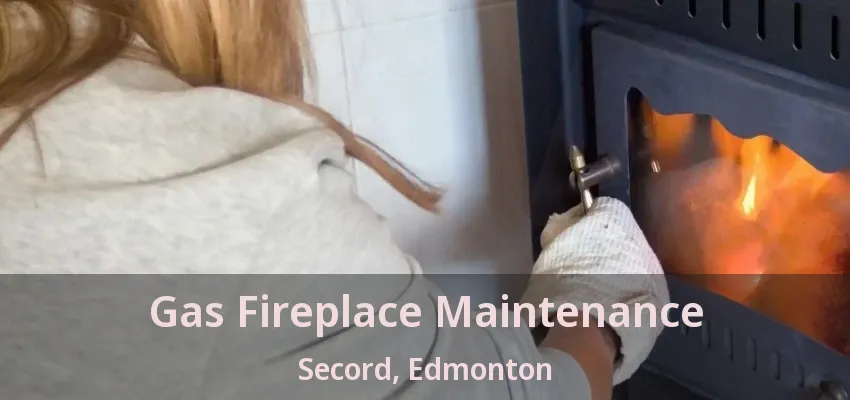 Gas Fireplace Maintenance Secord, Edmonton - AB