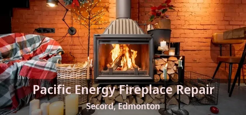 Pacific Energy Fireplace Repair Secord, Edmonton - AB