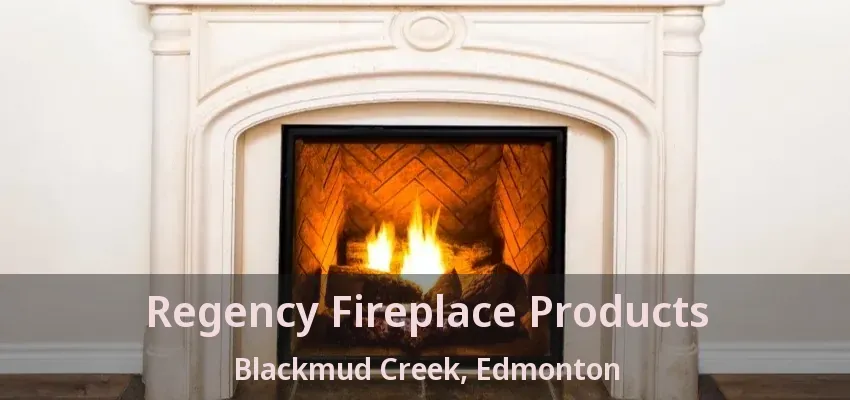 Regency Fireplace Products Blackmud Creek, Edmonton - AB