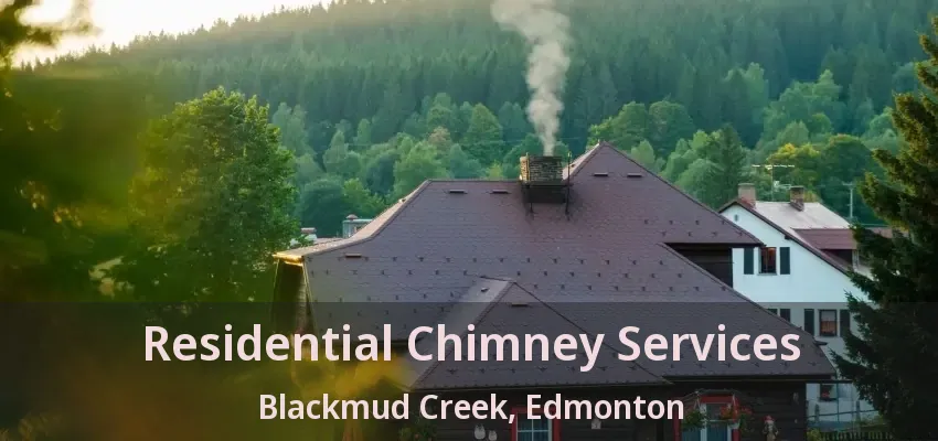 Residential Chimney Services Blackmud Creek, Edmonton - AB
