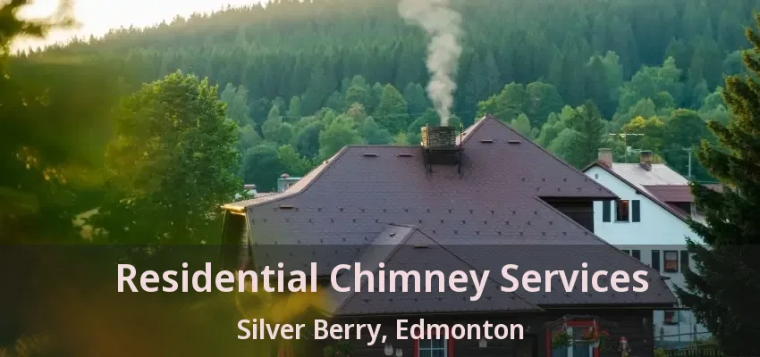 Residential Chimney Services Silver Berry, Edmonton - AB