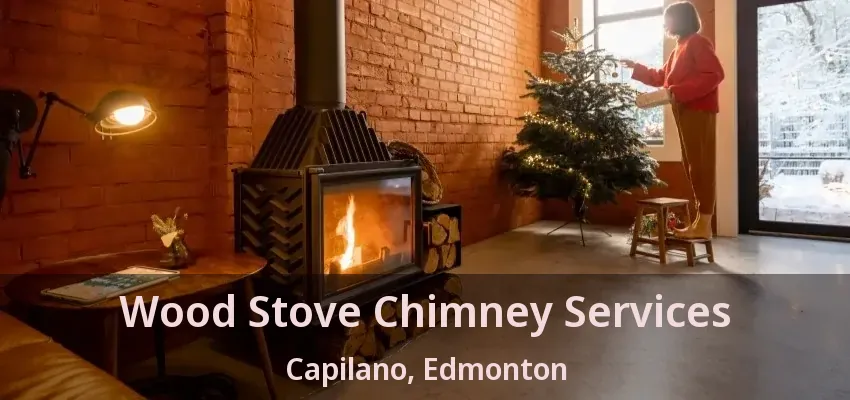 Wood Stove Chimney Services Capilano, Edmonton - AB